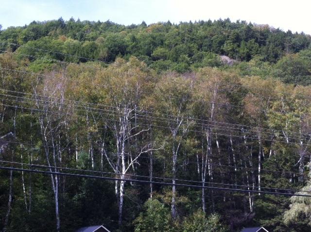 Maple Lodge Cabins North Woodstock Exterior foto